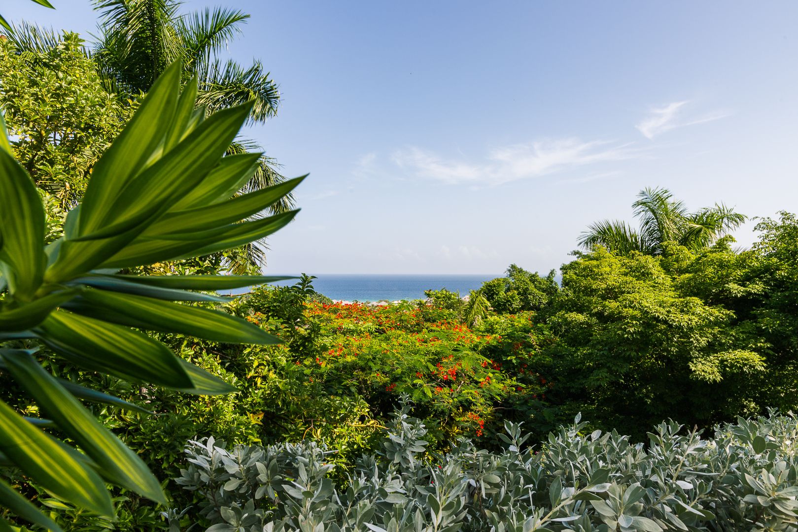 Jamaica-Landscape-Natural-Trees-Foliage-Beach-Ocean